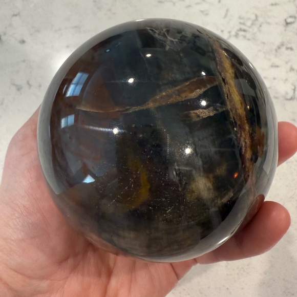 Petrified Wood Sphere - Picture 1 of 2